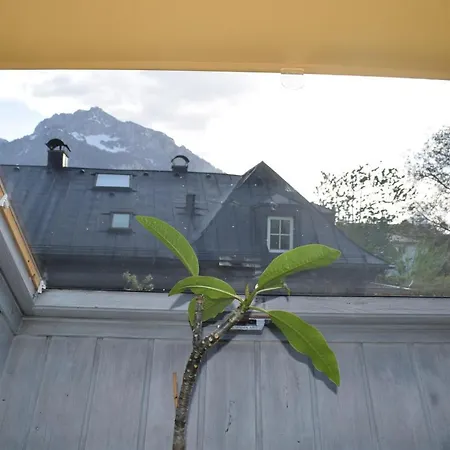Tatil Evi Haus Mit Sauna Und Privatem Badeteich In Bei Salzburg Anif